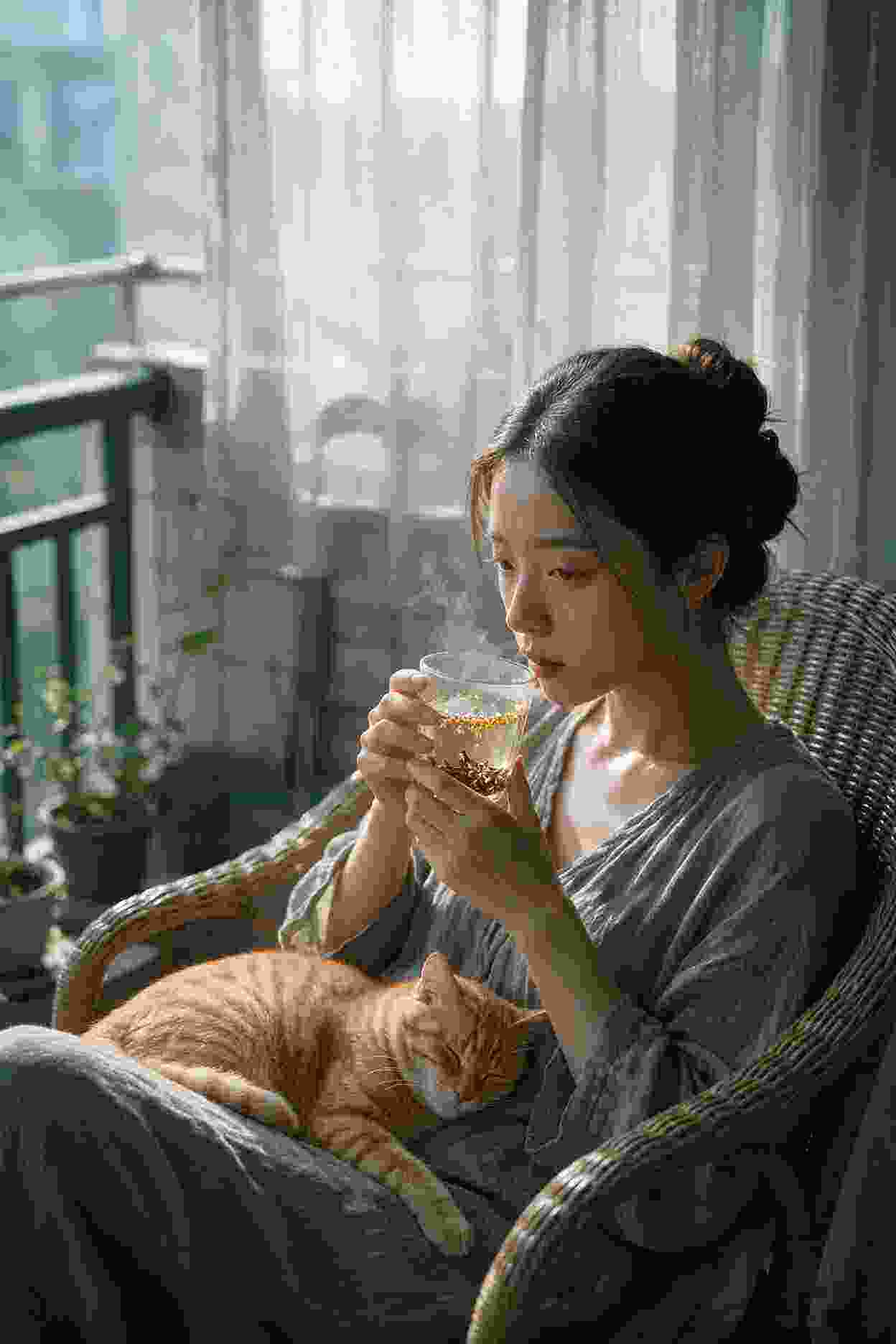 最新短剧更新
